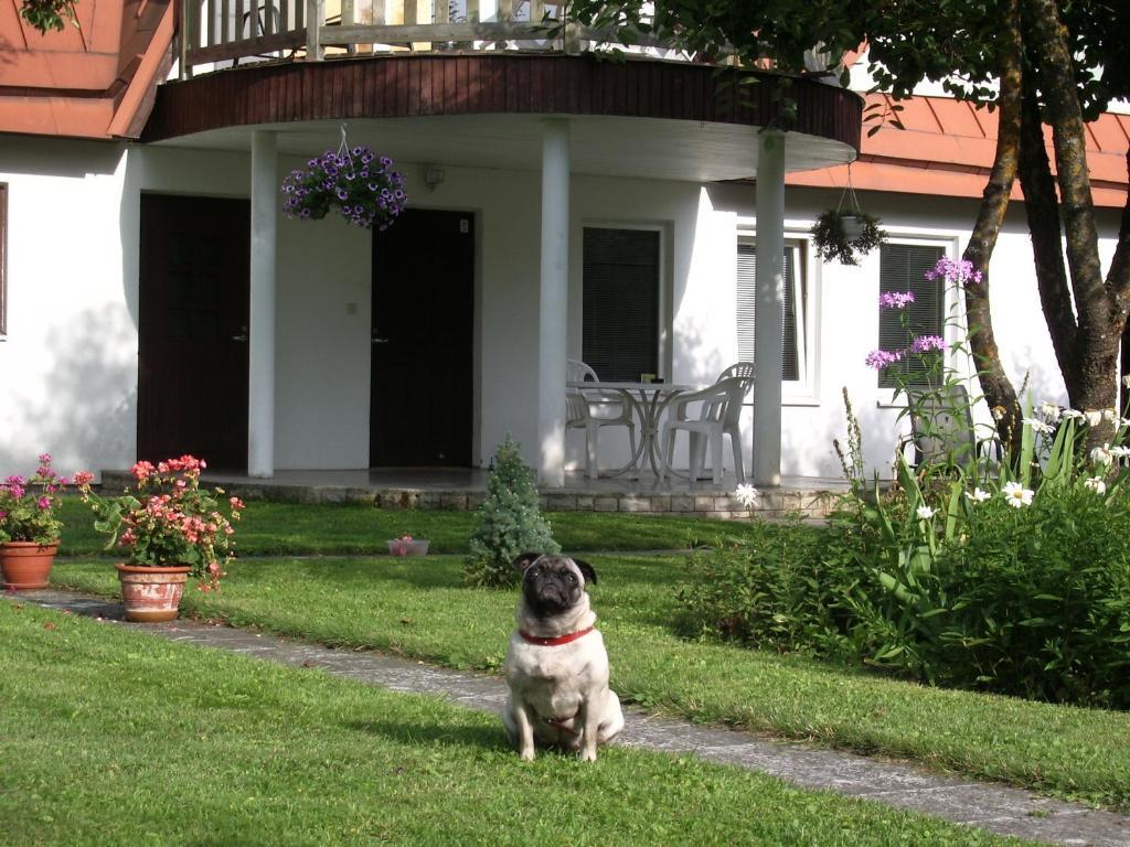 Maenni Guesthouse Haapsalu Oda fotoğraf