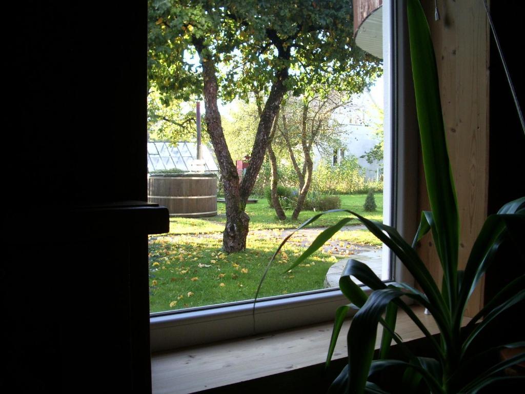 Maenni Guesthouse Haapsalu Oda fotoğraf